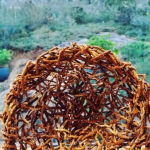 Random Weave with Bangalow Palm Inflorescence